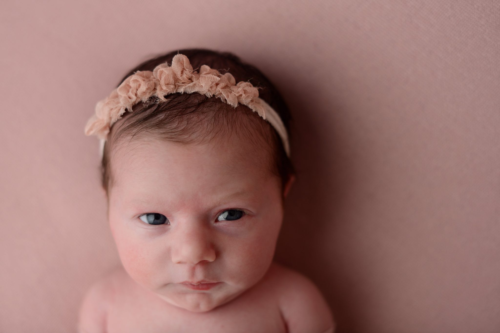 Newborn baby girl on pink background in Queens Portrait Studio