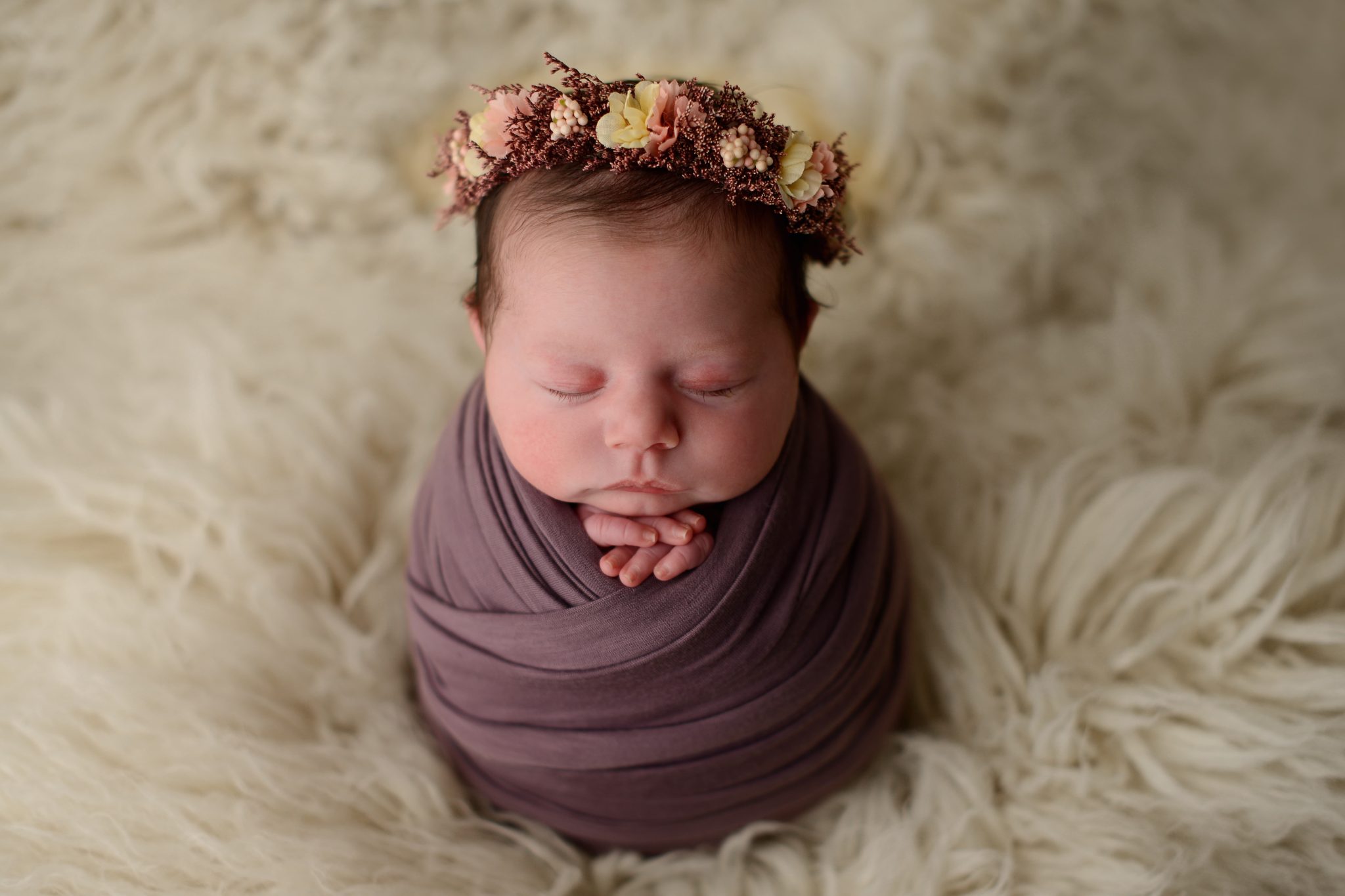 Newborn baby girl wrapped in purple at Queens Portrait Studio