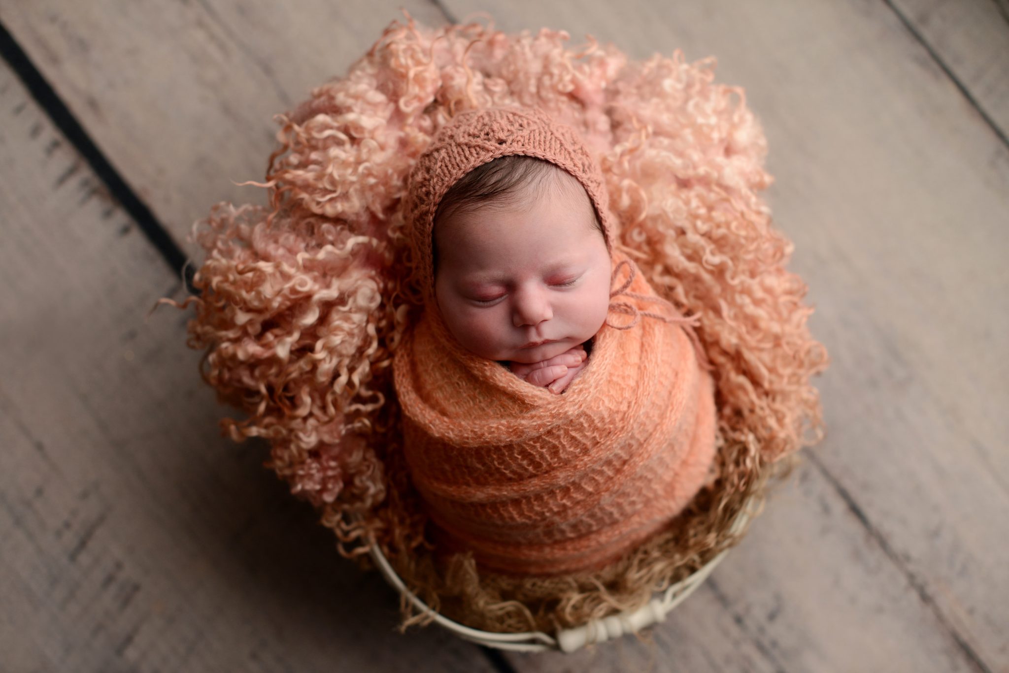 Newborn baby girl wrapped in tangerine at Queens Portrait Studio