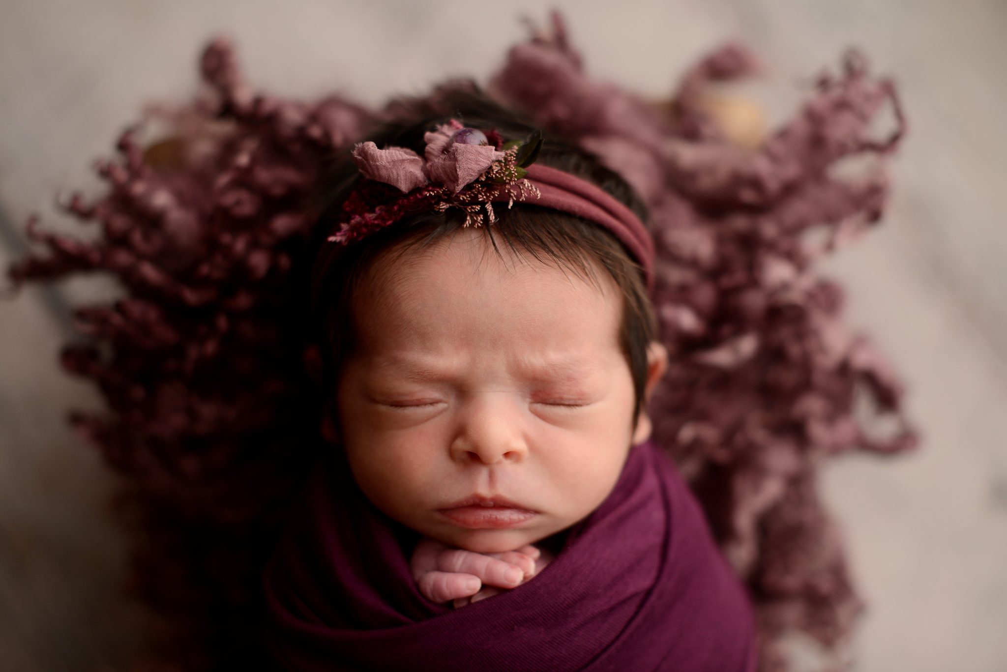 Queens newborn studio portrait of baby girl in plum wrap