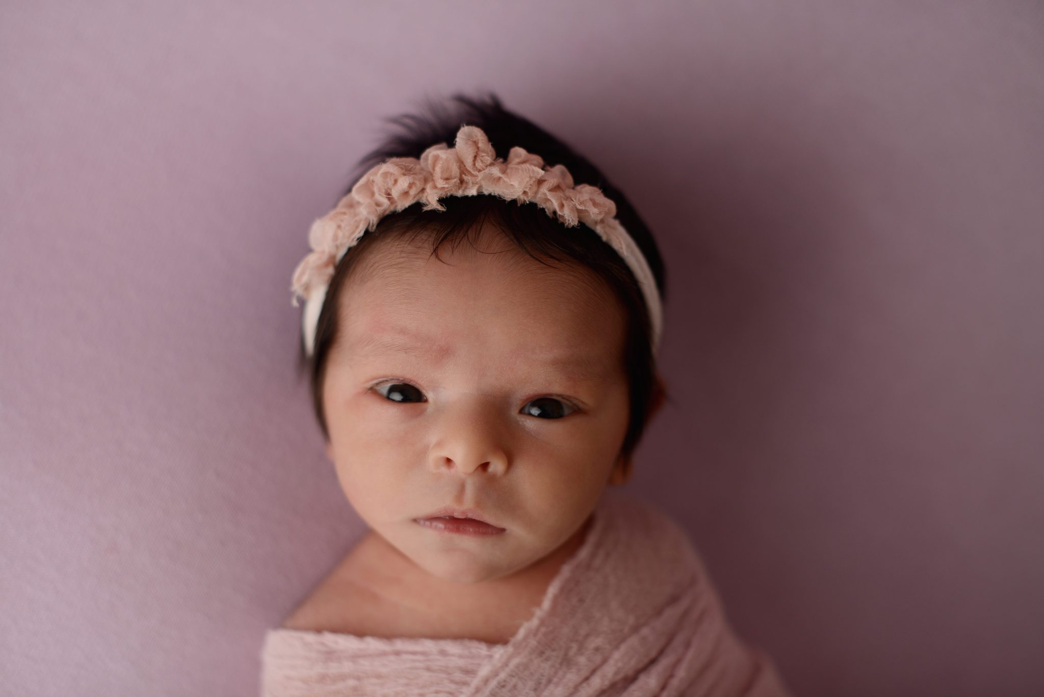 newborn photographer in manhattan ny